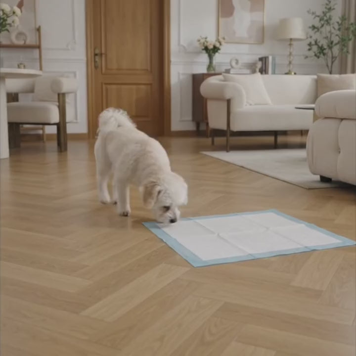 Puppy Mat - The Last Pee Pad You’ll Get