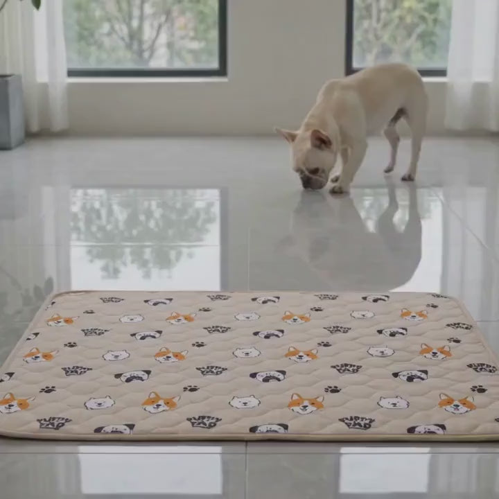 Puppy Mat - The Last Pee Pad You’ll Get